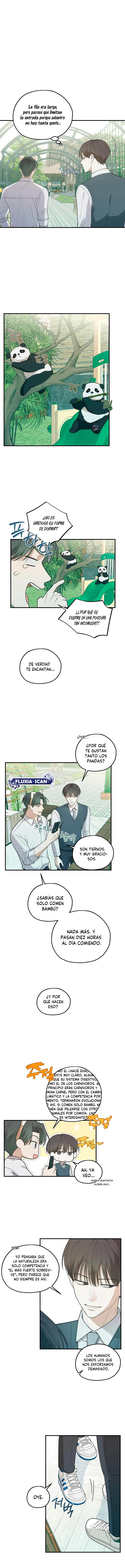 5 Área de investigación de errores