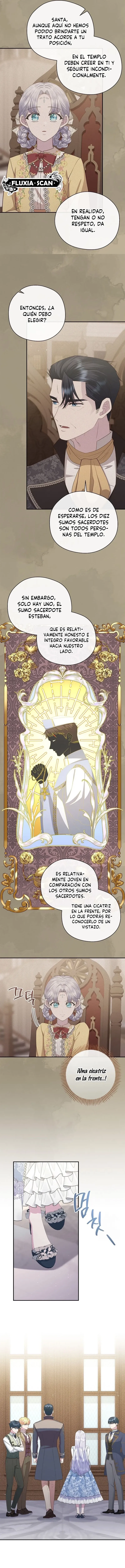 3 Las violetas que florecieron en el jardín