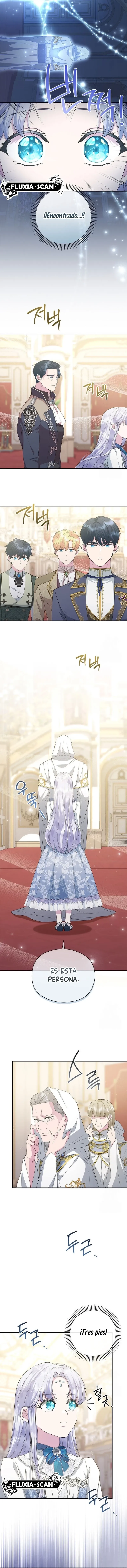 12 Las violetas que florecieron en el jardín