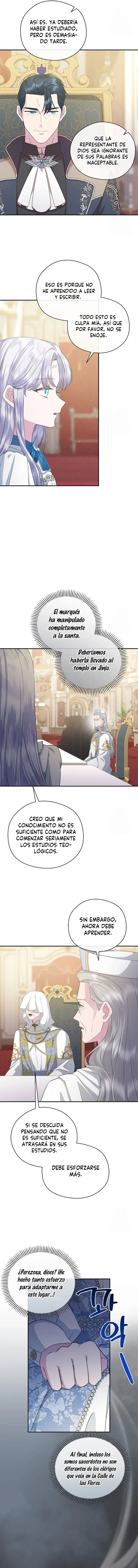 6 Las violetas que florecieron en el jardín