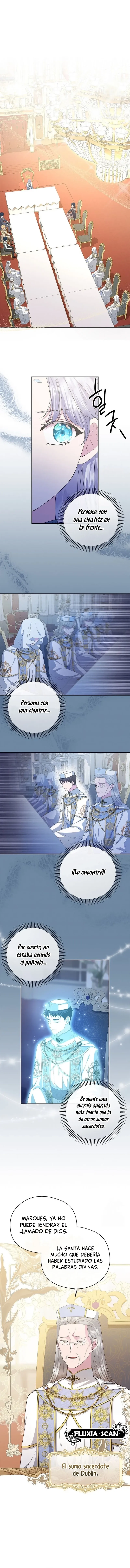 5 Las violetas que florecieron en el jardín