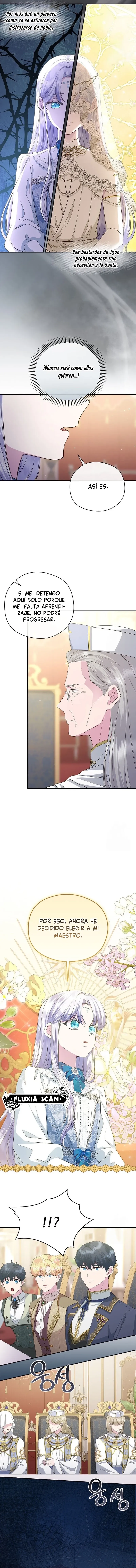 7 Las violetas que florecieron en el jardín