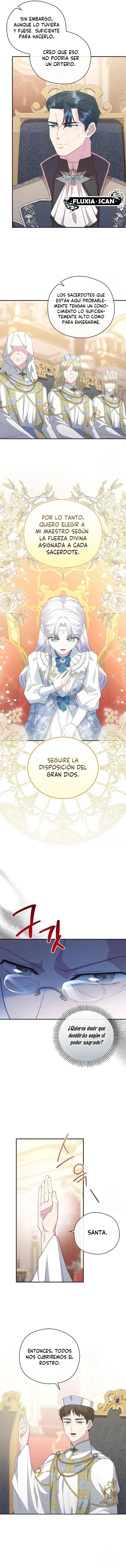 9 Las violetas que florecieron en el jardín