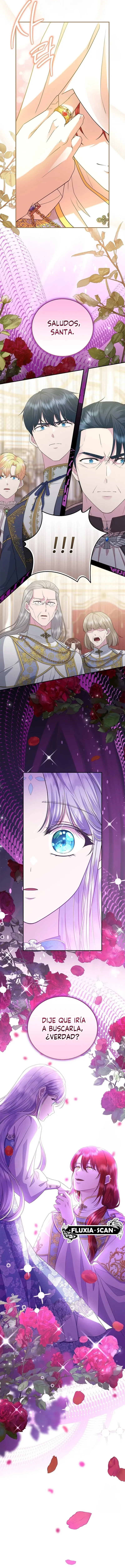 14 Las violetas que florecieron en el jardín