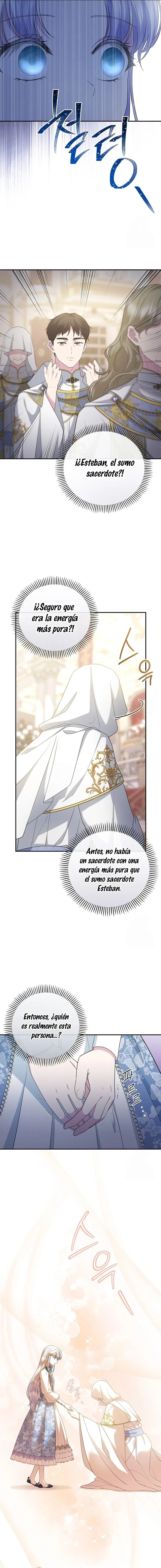 13 Las violetas que florecieron en el jardín