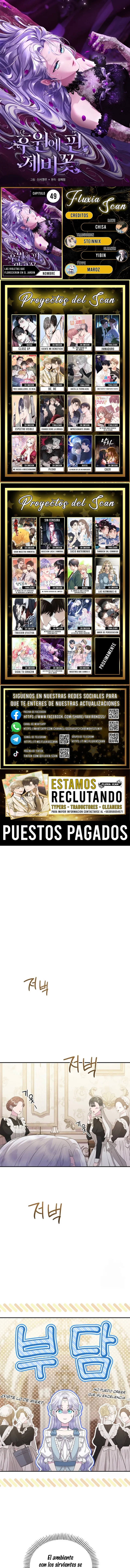 0 Las violetas que florecieron en el jardín