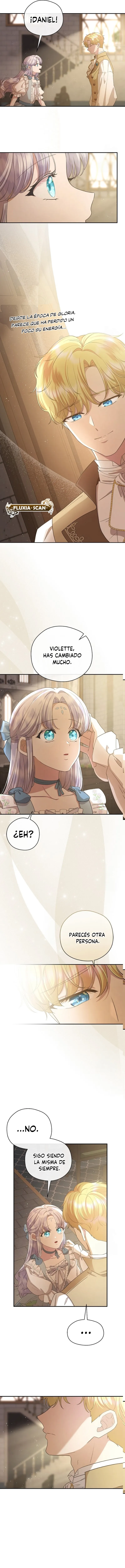 5 Las violetas que florecieron en el jardín