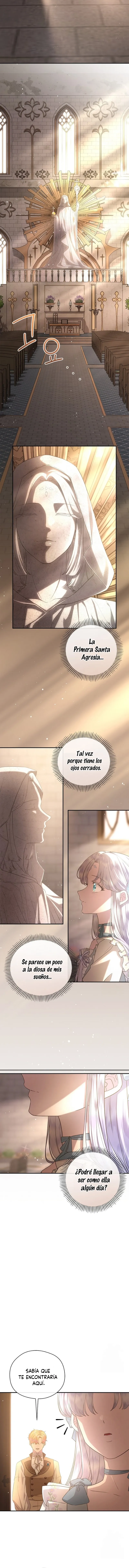 4 Las violetas que florecieron en el jardín