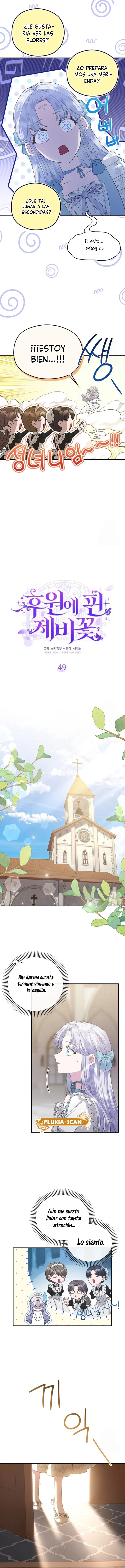 3 Las violetas que florecieron en el jardín