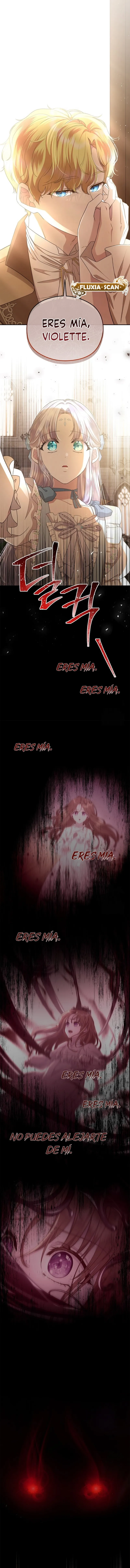 8 Las violetas que florecieron en el jardín