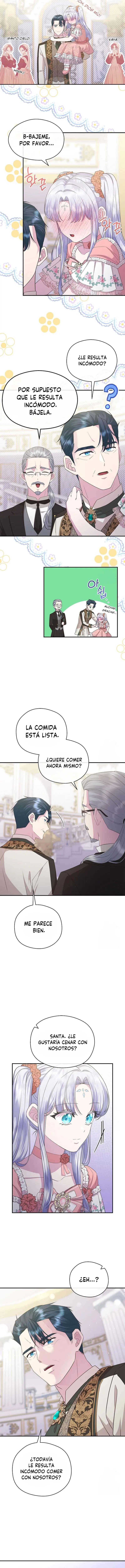 8 Las violetas que florecieron en el jardín