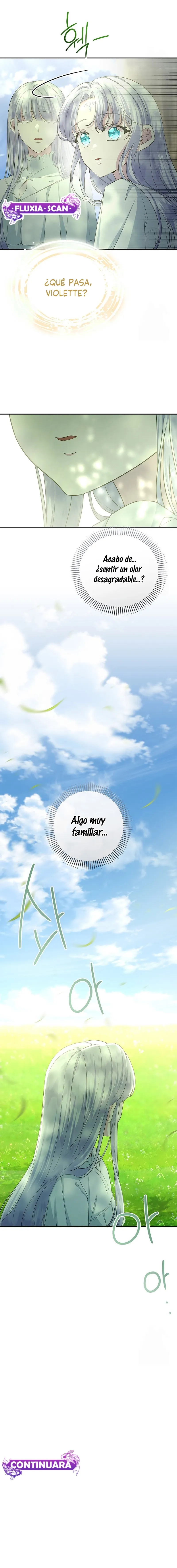 13 Las violetas que florecieron en el jardín