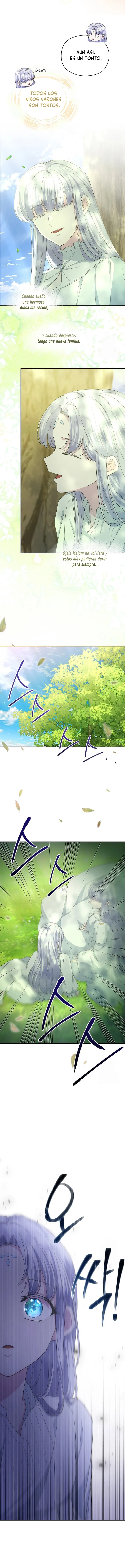 12 Las violetas que florecieron en el jardín