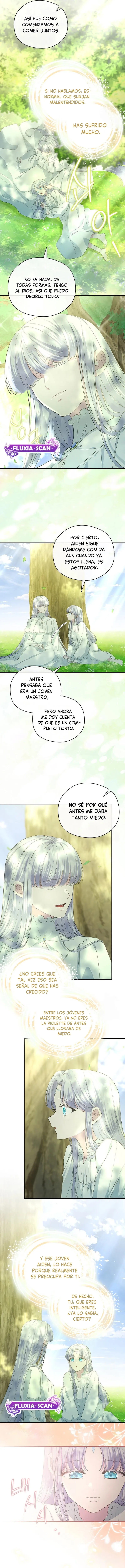 11 Las violetas que florecieron en el jardín