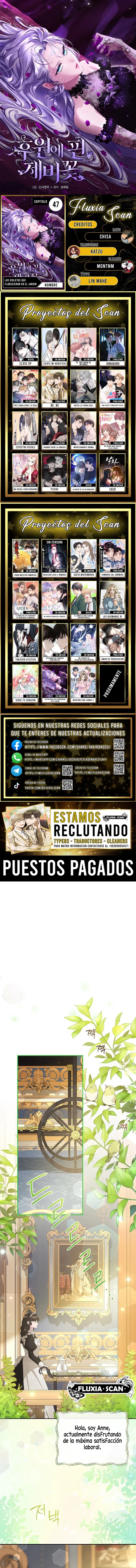 0 Las violetas que florecieron en el jardín