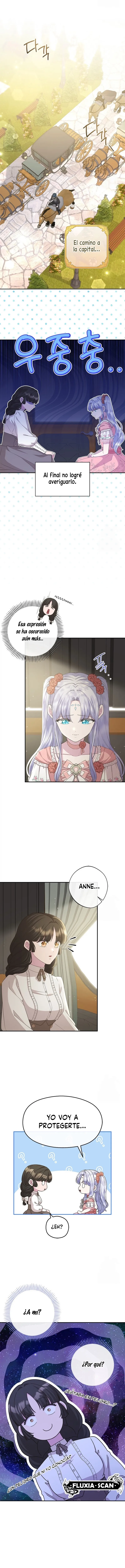 3 Las violetas que florecieron en el jardín