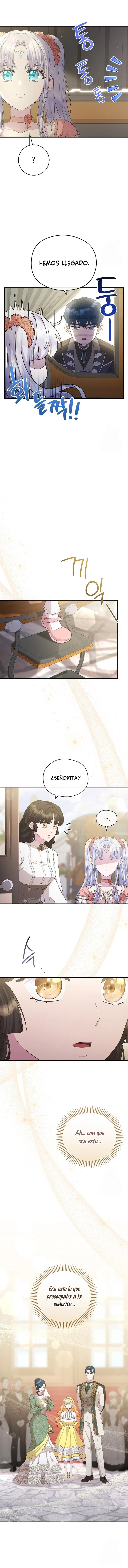 4 Las violetas que florecieron en el jardín