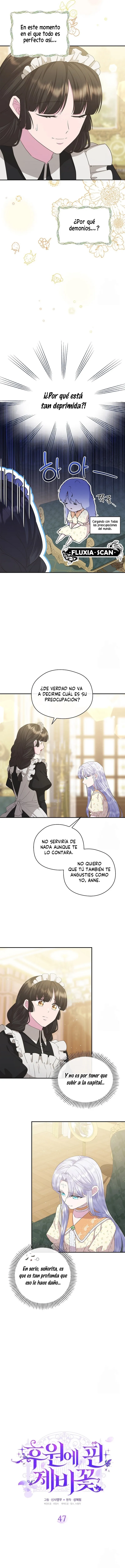 2 Las violetas que florecieron en el jardín