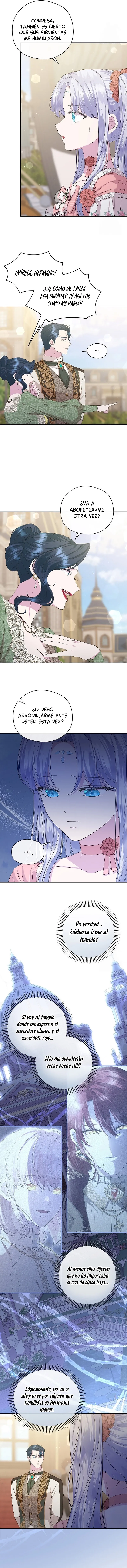 7 Las violetas que florecieron en el jardín