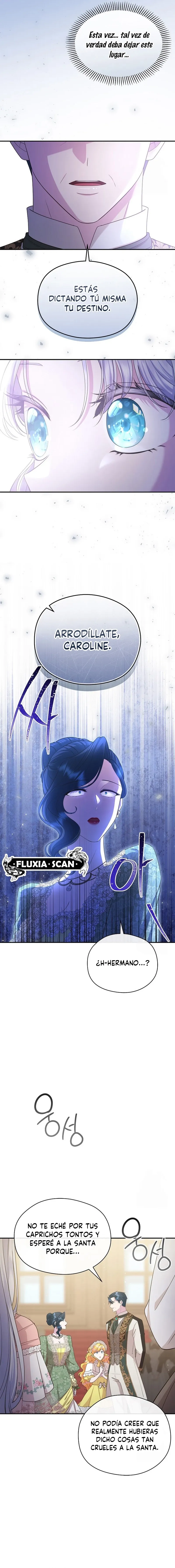 8 Las violetas que florecieron en el jardín