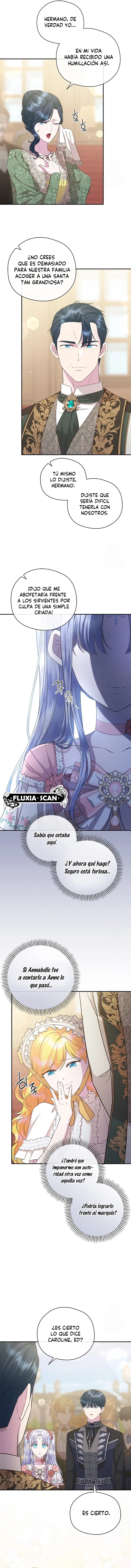 5 Las violetas que florecieron en el jardín