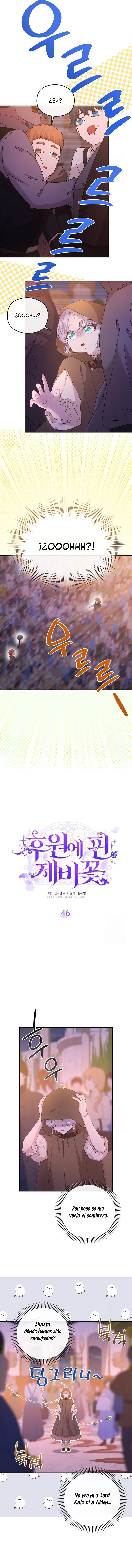 3 Las violetas que florecieron en el jardín