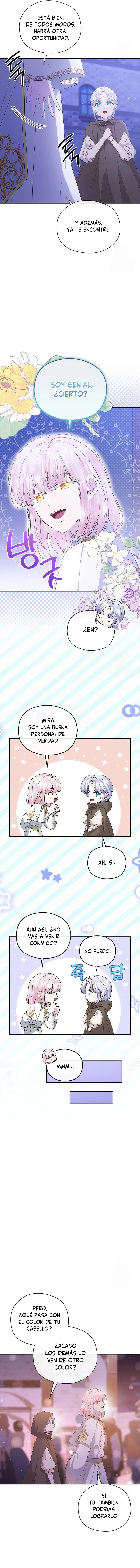 11 Las violetas que florecieron en el jardín