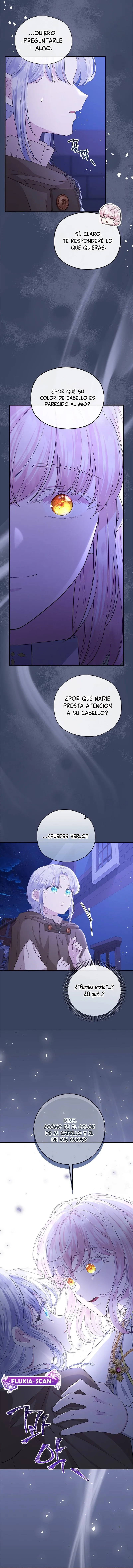 9 Las violetas que florecieron en el jardín