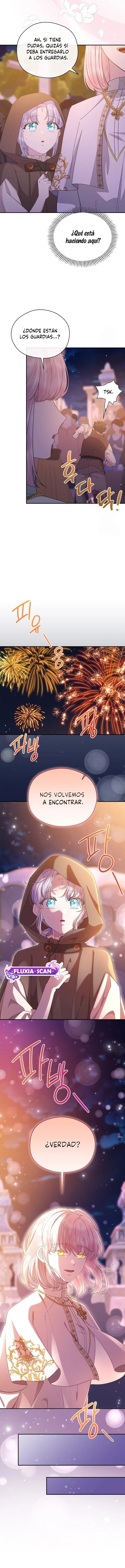 6 Las violetas que florecieron en el jardín