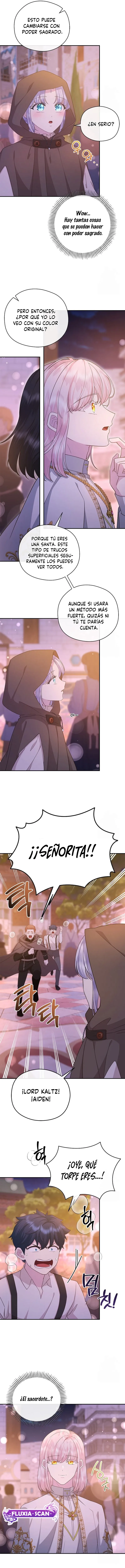 12 Las violetas que florecieron en el jardín