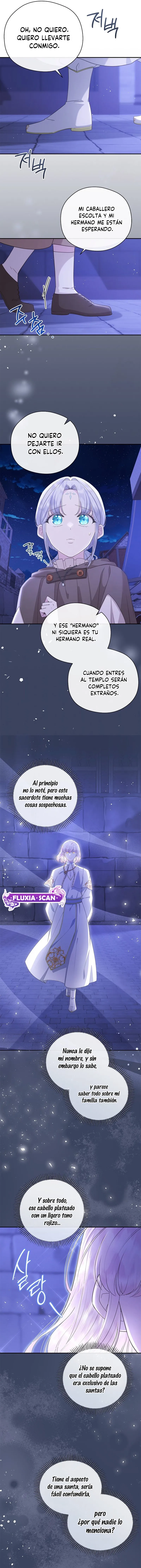 8 Las violetas que florecieron en el jardín