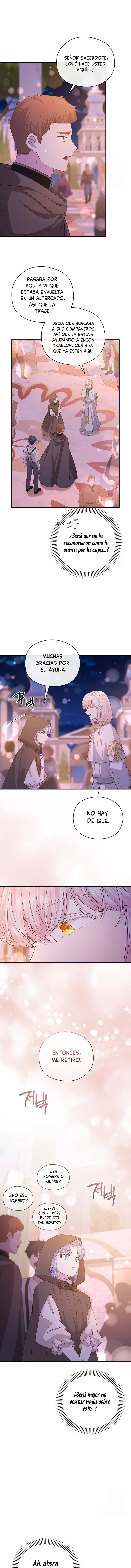 13 Las violetas que florecieron en el jardín