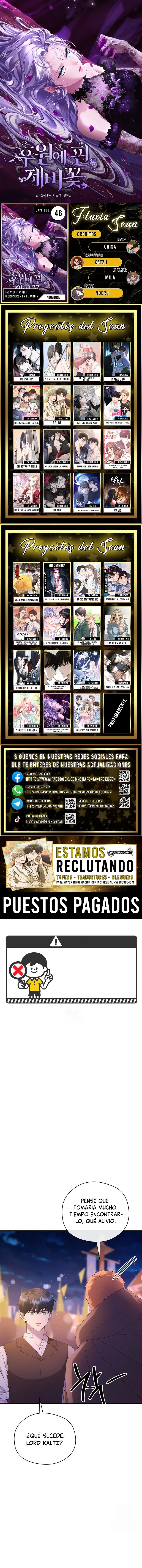 0 Las violetas que florecieron en el jardín