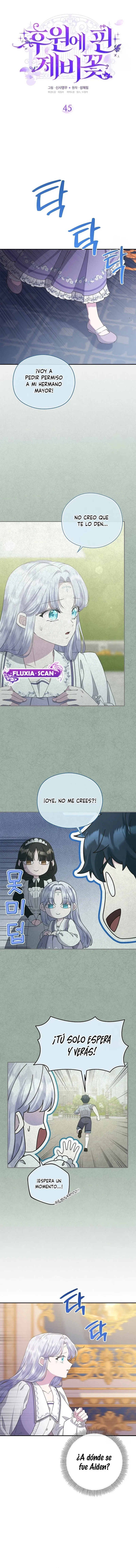 2 Las violetas que florecieron en el jardín