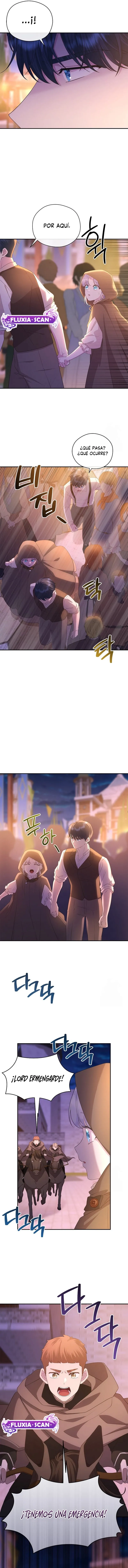 13 Las violetas que florecieron en el jardín