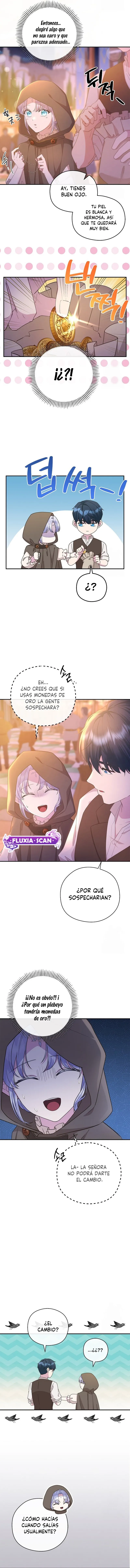 9 Las violetas que florecieron en el jardín