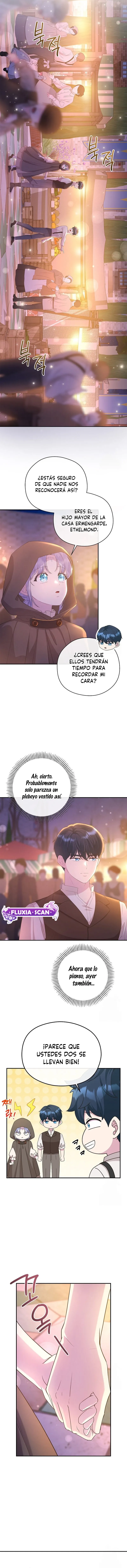 6 Las violetas que florecieron en el jardín