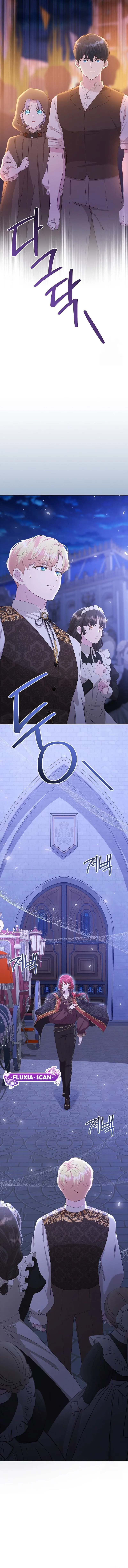 14 Las violetas que florecieron en el jardín