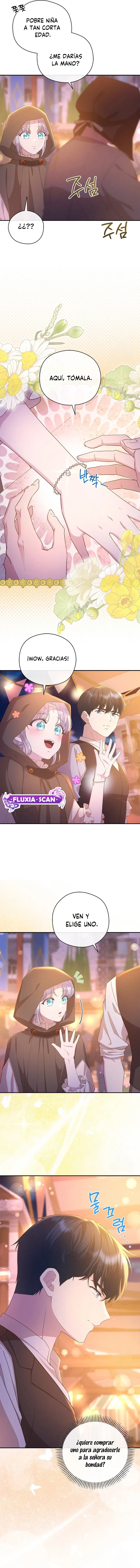 8 Las violetas que florecieron en el jardín