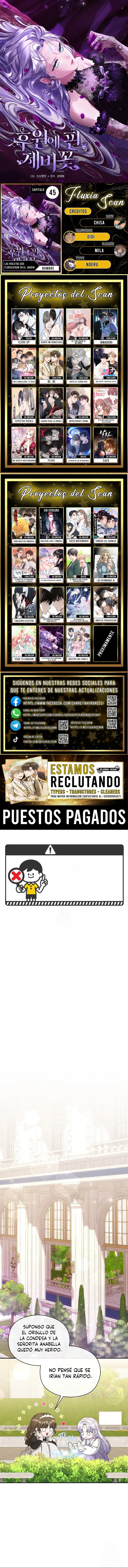 0 Las violetas que florecieron en el jardín