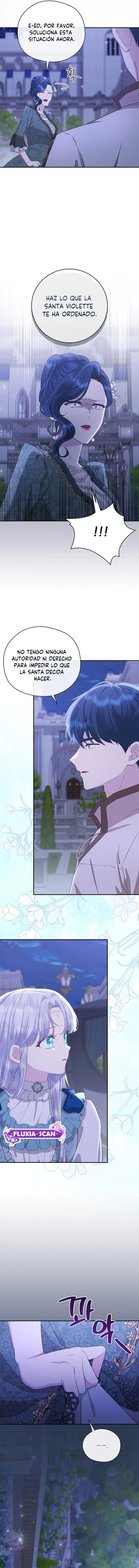 4 Las violetas que florecieron en el jardín