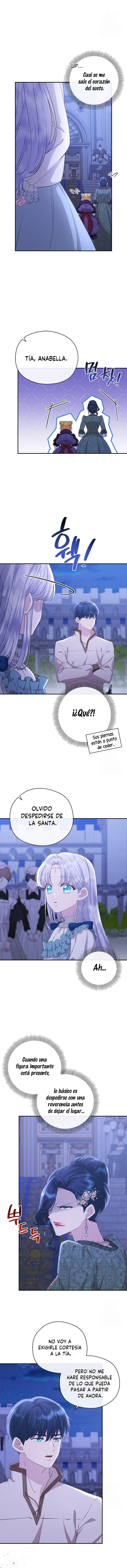 8 Las violetas que florecieron en el jardín