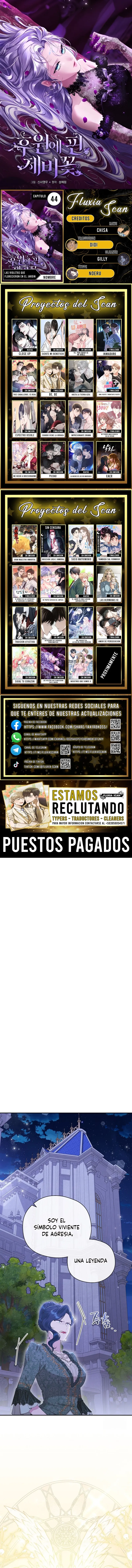 0 Las violetas que florecieron en el jardín