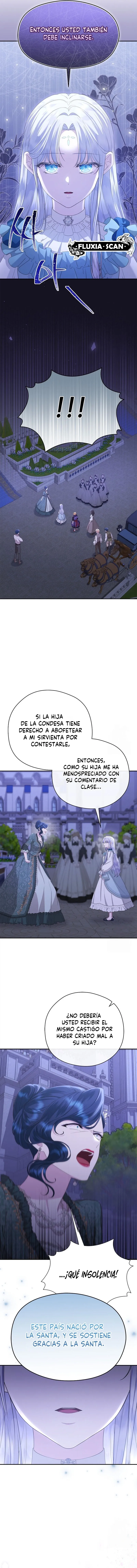 11 Las violetas que florecieron en el jardín