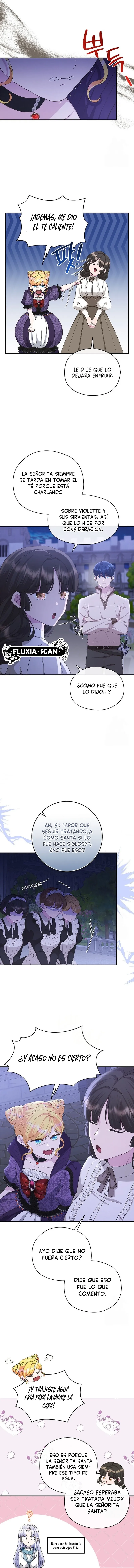 5 Las violetas que florecieron en el jardín