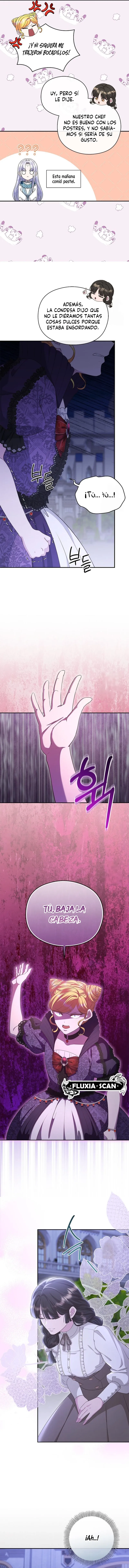 6 Las violetas que florecieron en el jardín