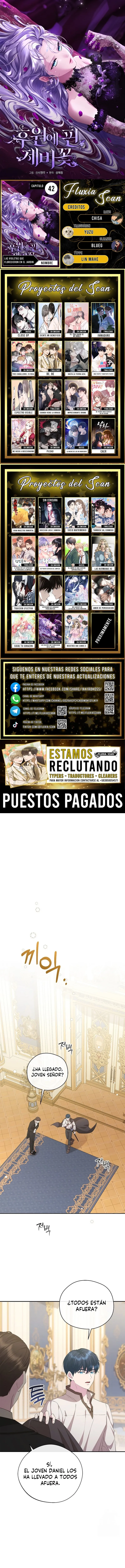 0 Las violetas que florecieron en el jardín