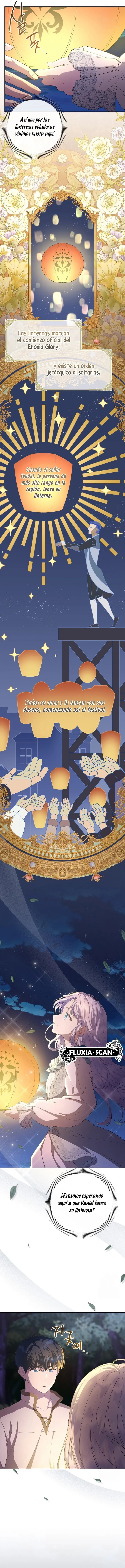 11 Las violetas que florecieron en el jardín