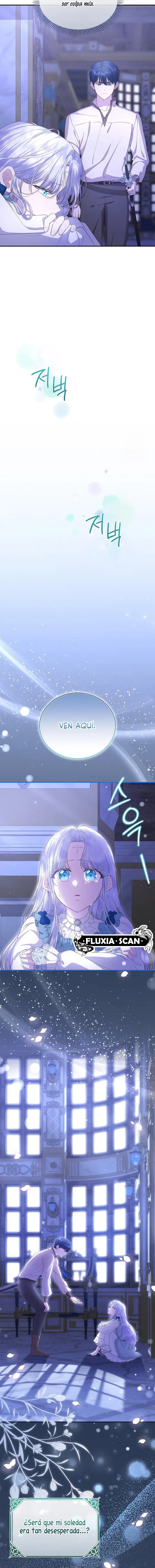 7 Las violetas que florecieron en el jardín