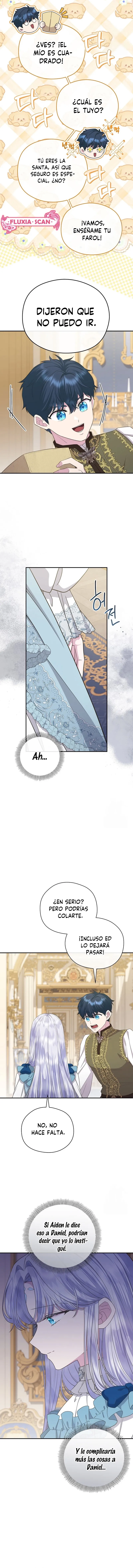 11 Las violetas que florecieron en el jardín